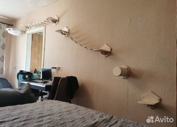 Комплекс для кошек 