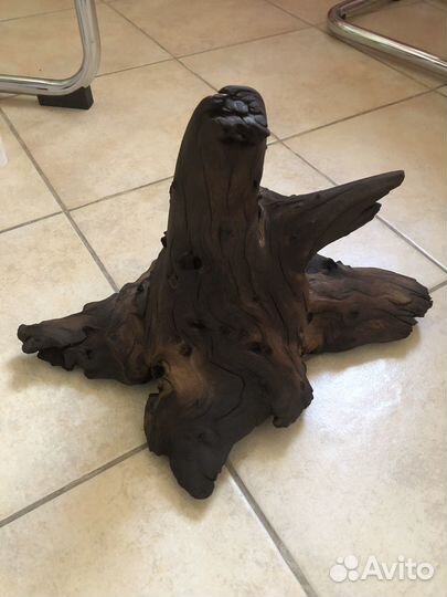 Коряги «мангра«