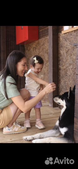 Видеосъемка видеограф