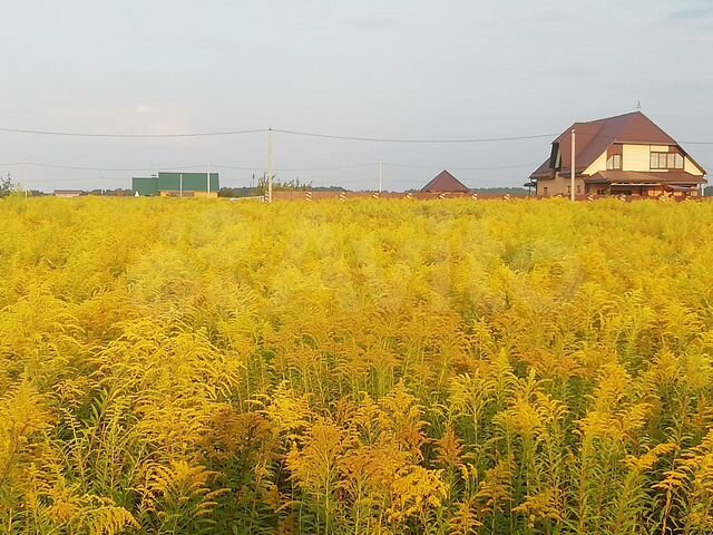 Участок 10 сот. (ИЖС)