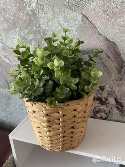 Цветок с горшком IKEA