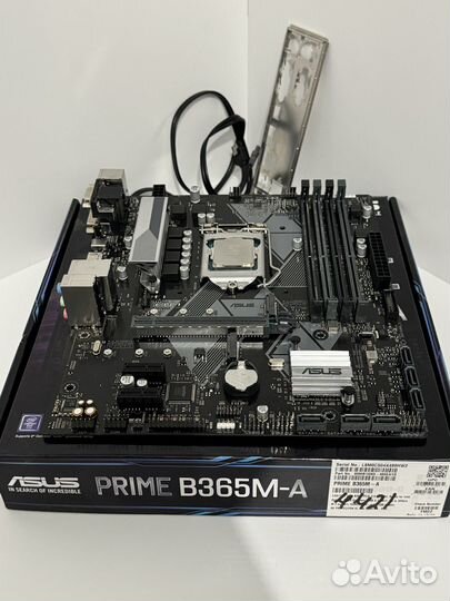 Материнская плата asus prime B365M-A