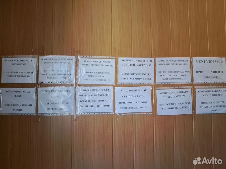 Репетитор по истории и обществознанию