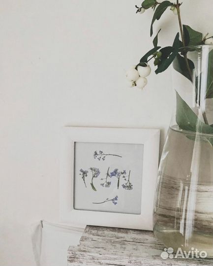 Гербарий с сухоцветами