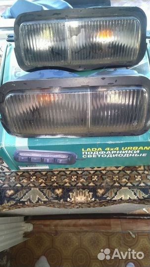 Надфарники нива