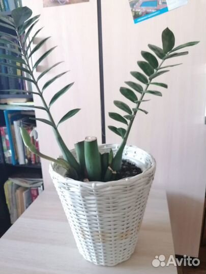 Кашпо для цветов из искуственного ротанга