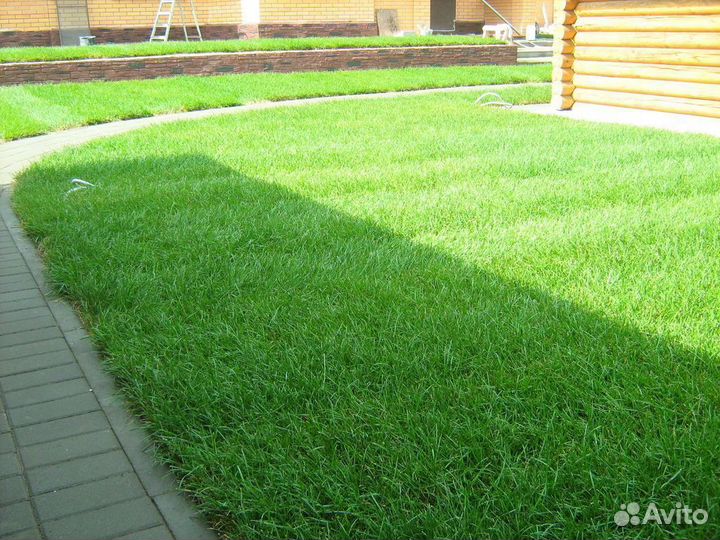 Доставка рулонного газона