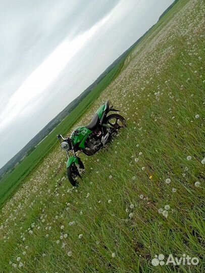 Продам Irbis Gs200