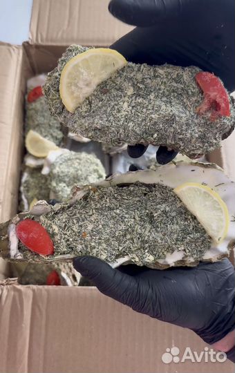 Устрицы, Гребешки, Мидии