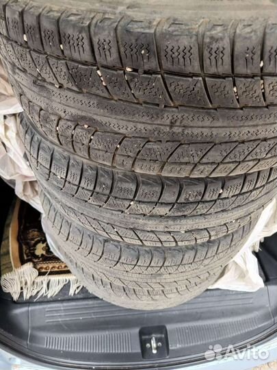 Triangle Snow-LL01 185/65 R15