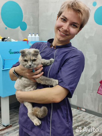 Грумер, Груминг (стрижка) собак и кошек