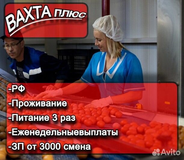 Вахта / упаковщик яиц / Липецк