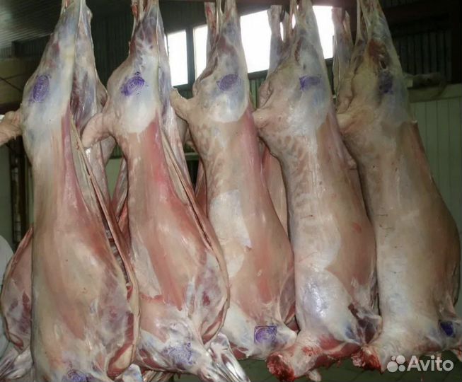 Мясо баранины