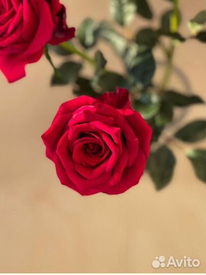 Розы из японской глины (1:1 как живые цветы)