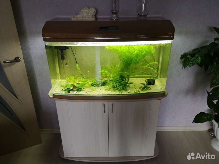 Аквариум