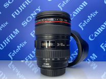 Canon 24-105mm f/4 (8509)