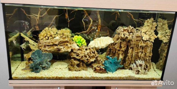 Обслуживание аквариума. Аквариумист