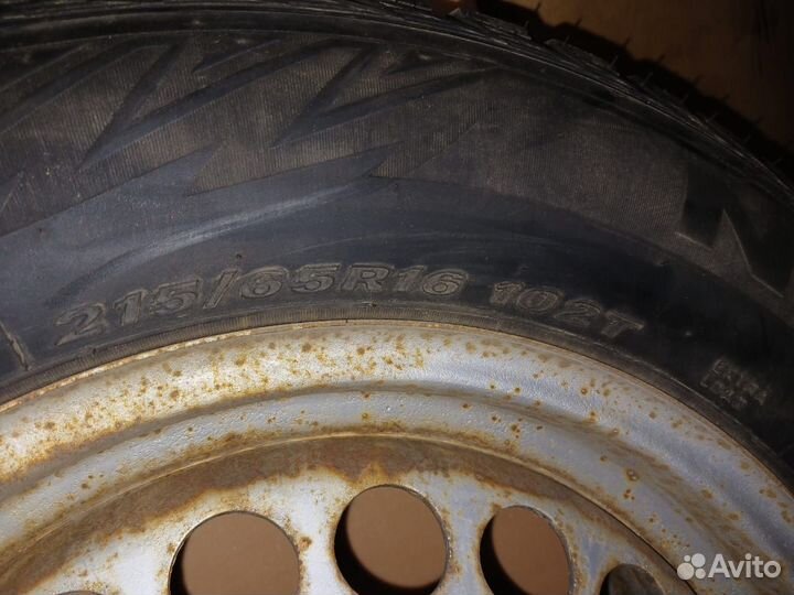 Nexen Winguard WinSpike 215/65 R16 102T