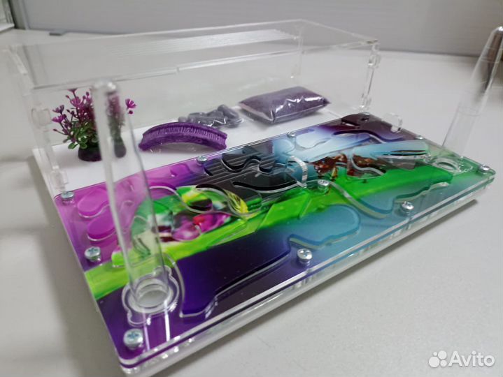 Муравьиная ферма с доставкой по России