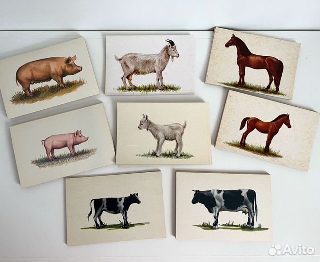 Наглядные пособия материалы игры СССР