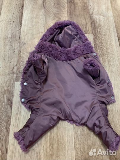 Одежда для собачки