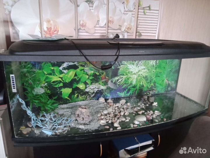 Аквариум 350 литров