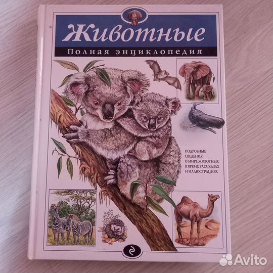 Энциклопедия 