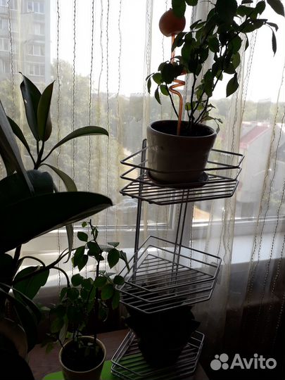 Подставка для цветов настенная