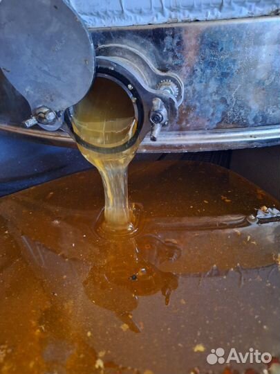 Мед, новый урожай 2024