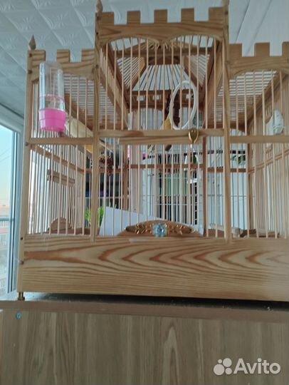 Клетка для птиц деревянная без продажи птиц