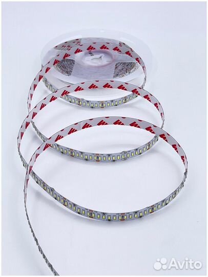 Светодиодная лента 12v 24w/м 6500K