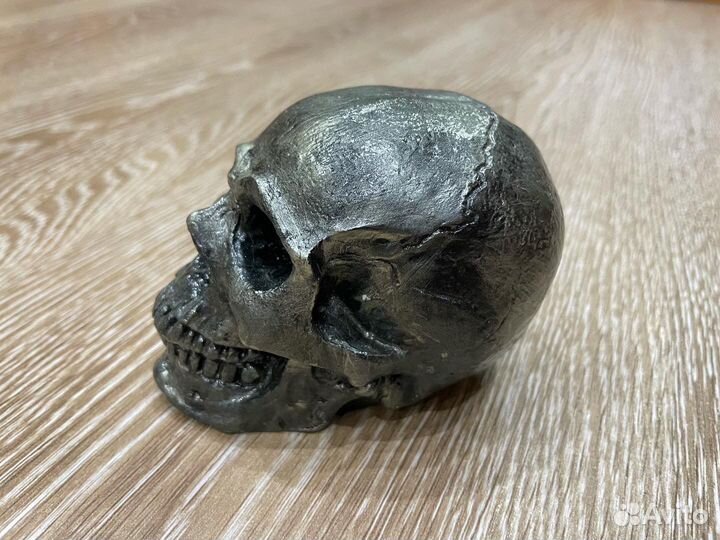 Черепа из гипса