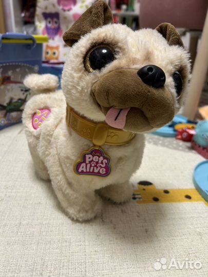 Мопс Pets Alive