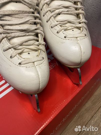 Фигурные коньки Edea concerto 245