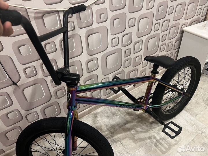 Bmx horstcamorra