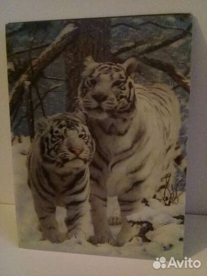 Виниловые картинки на магните