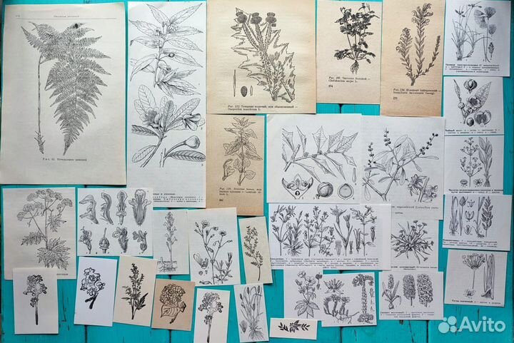 Наборы чёрно белые, фотореквизит