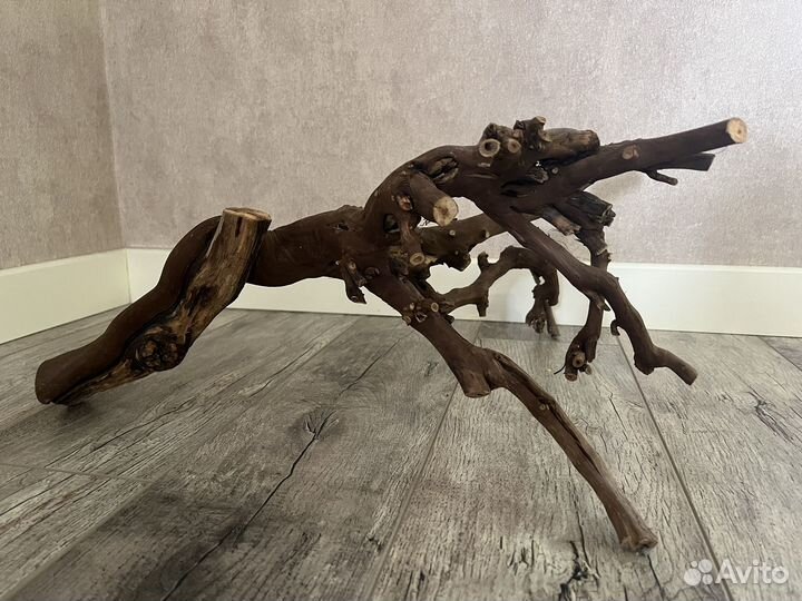 Коряга (виноградная лоза)