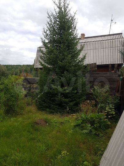 Дом 100 м² на участке 12 сот.