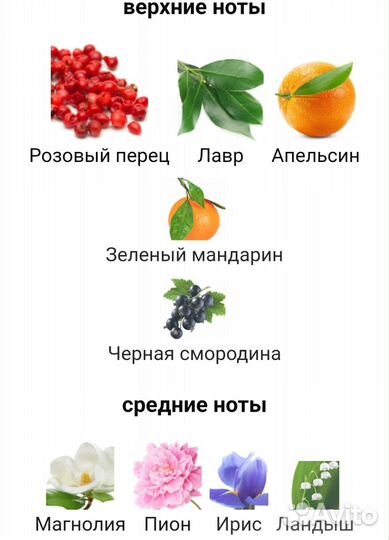 Giorgio Armani Mania