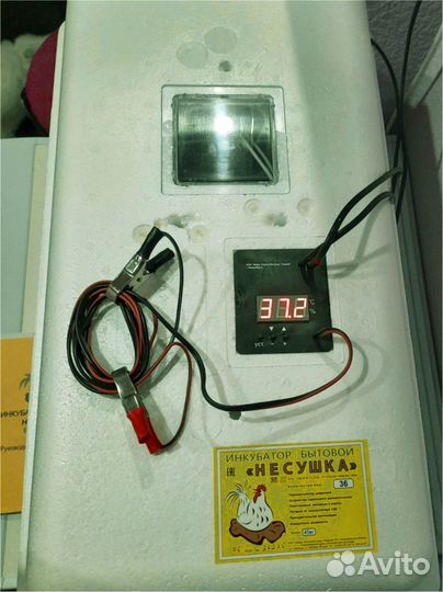 Инкубатор новый