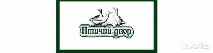 Яйца перепелиные