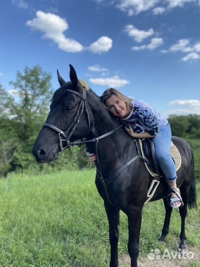 Конные прогулки, тренировки по верховой езде