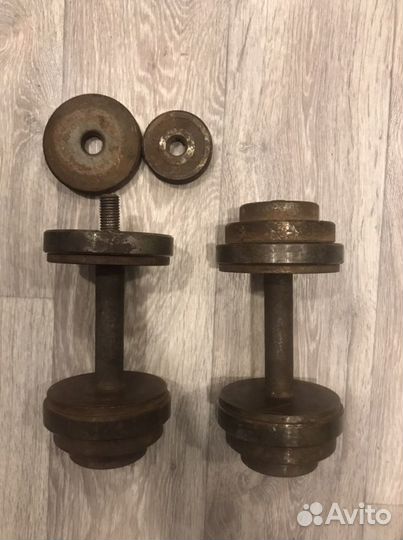 Гантели со съемными блинами по 5 кг