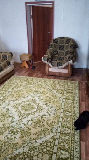 Дом 65 м² на участке 35 сот.