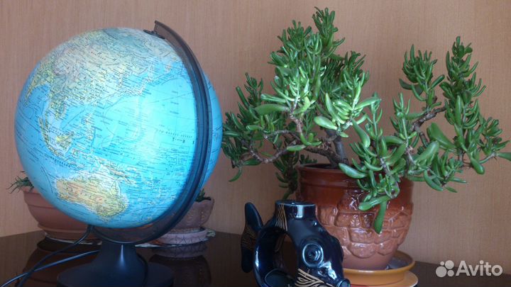 Люстра Чижевского (ионизатор воздуха)