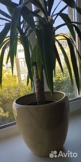 Горшок керамический