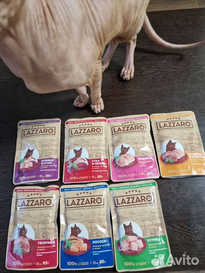 Влажный корм для кошек lazzaro