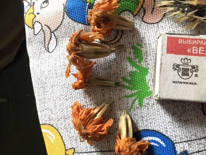 Семена бархатцев