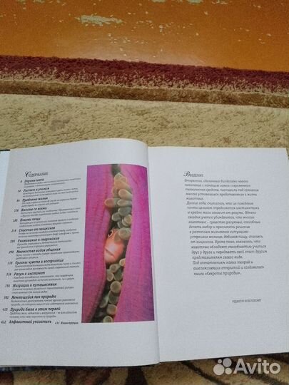 Книга о природе